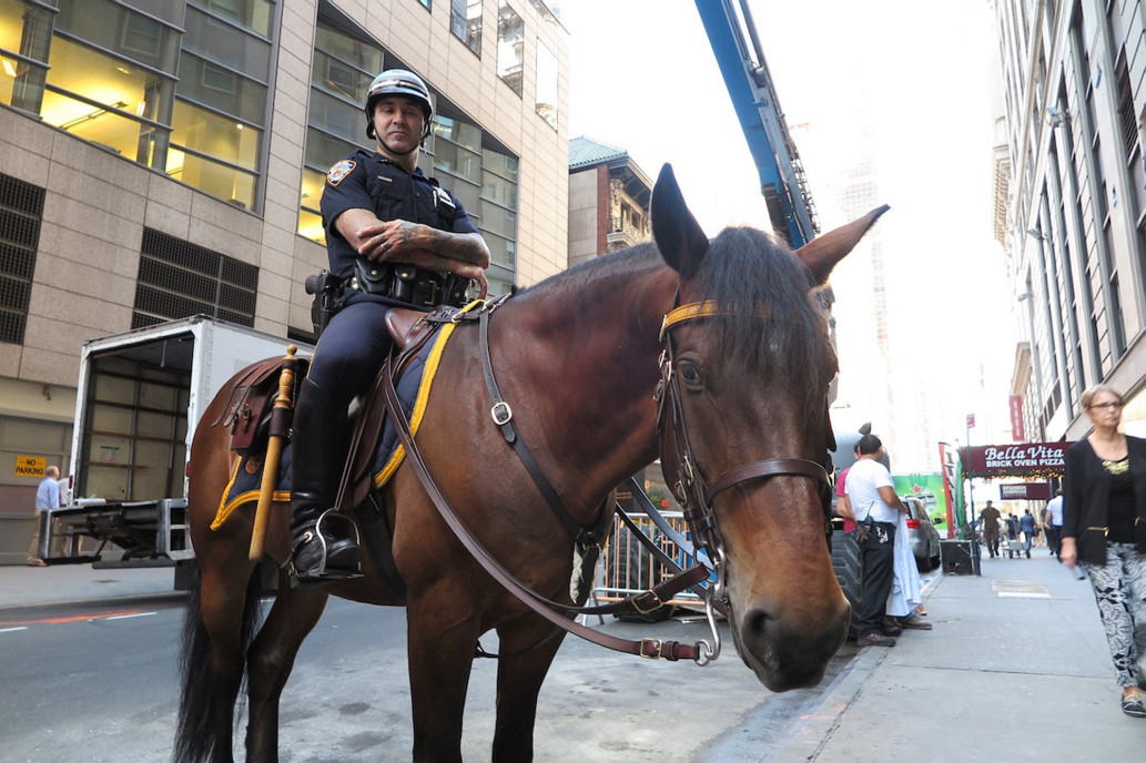 Негритянку полицейский. Полицейский конь. Полицейский на коне. Патруль полицейских на лошадях в Нью Йорке. Нью-Йорк полицейский конь.